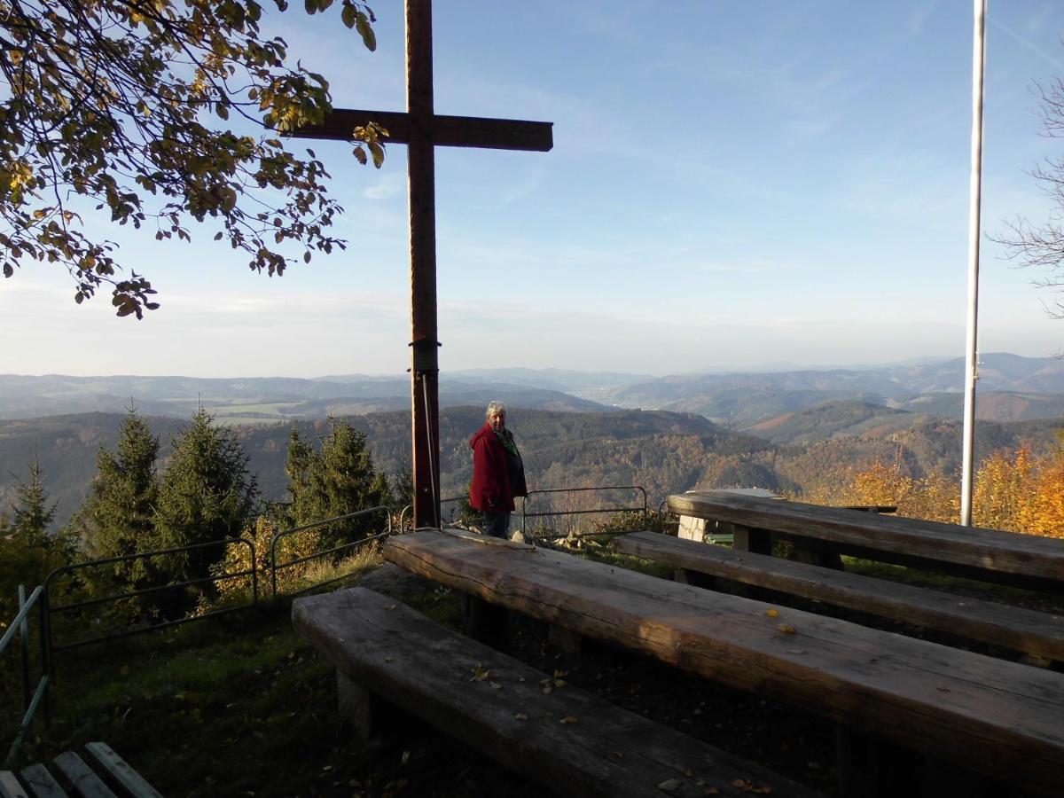Urlaub Auf Dem Haenslehof Lägenhet Elzach Exteriör bild
