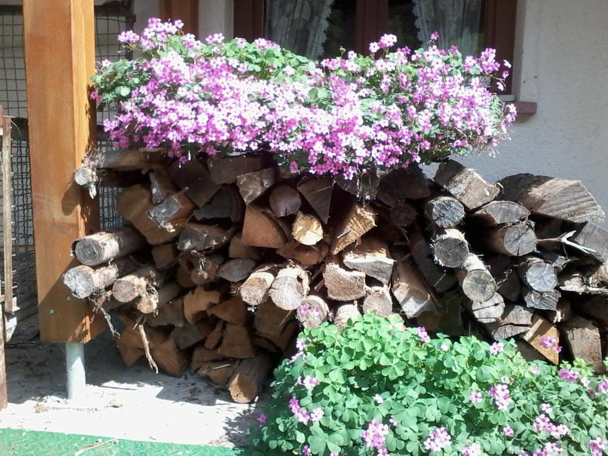 Urlaub Auf Dem Haenslehof Lägenhet Elzach Exteriör bild