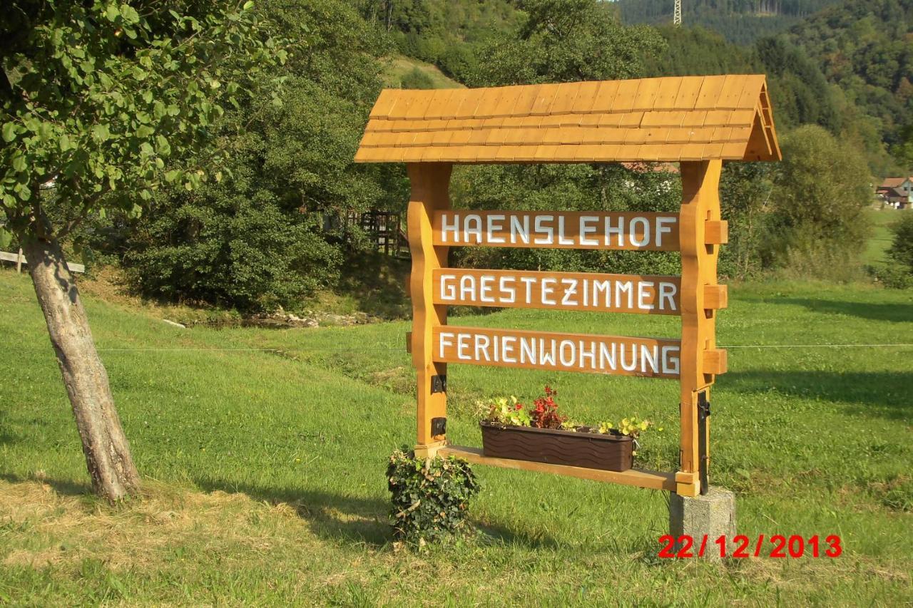 Urlaub Auf Dem Haenslehof Lägenhet Elzach Exteriör bild