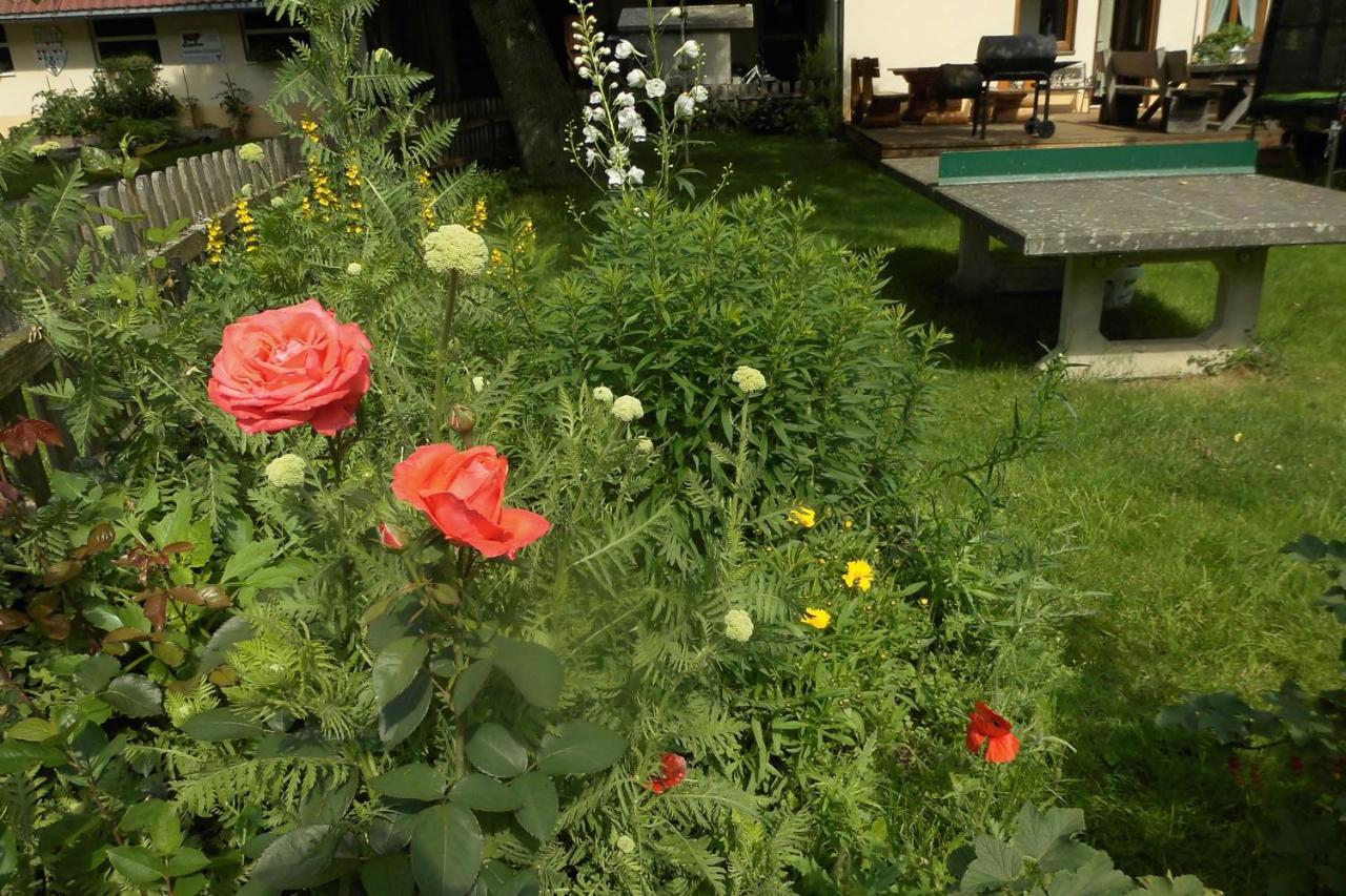 Urlaub Auf Dem Haenslehof Lägenhet Elzach Exteriör bild