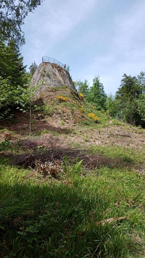 Urlaub Auf Dem Haenslehof Lägenhet Elzach Exteriör bild