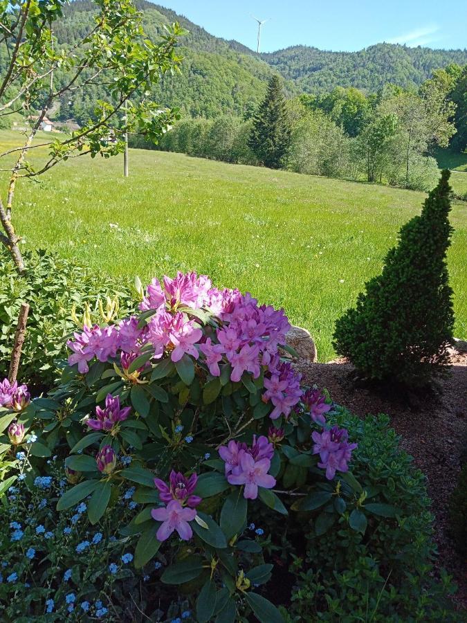 Urlaub Auf Dem Haenslehof Lägenhet Elzach Exteriör bild