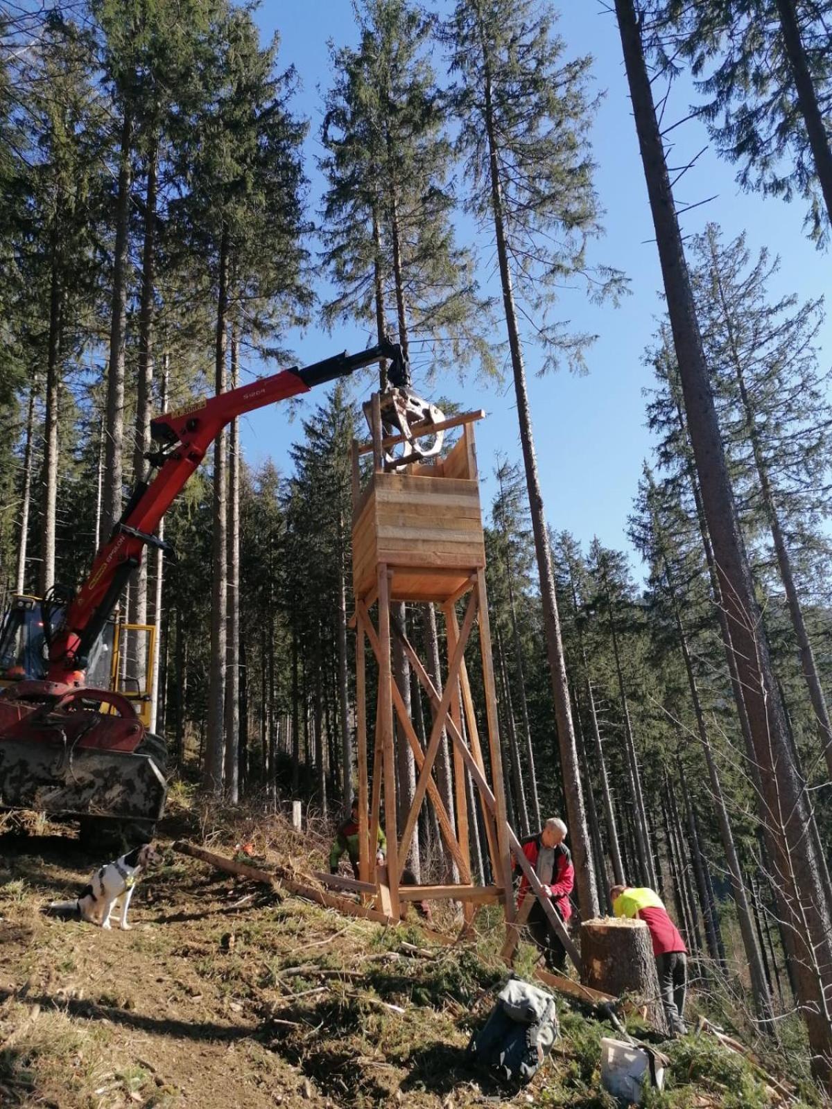 Urlaub Auf Dem Haenslehof Lägenhet Elzach Exteriör bild