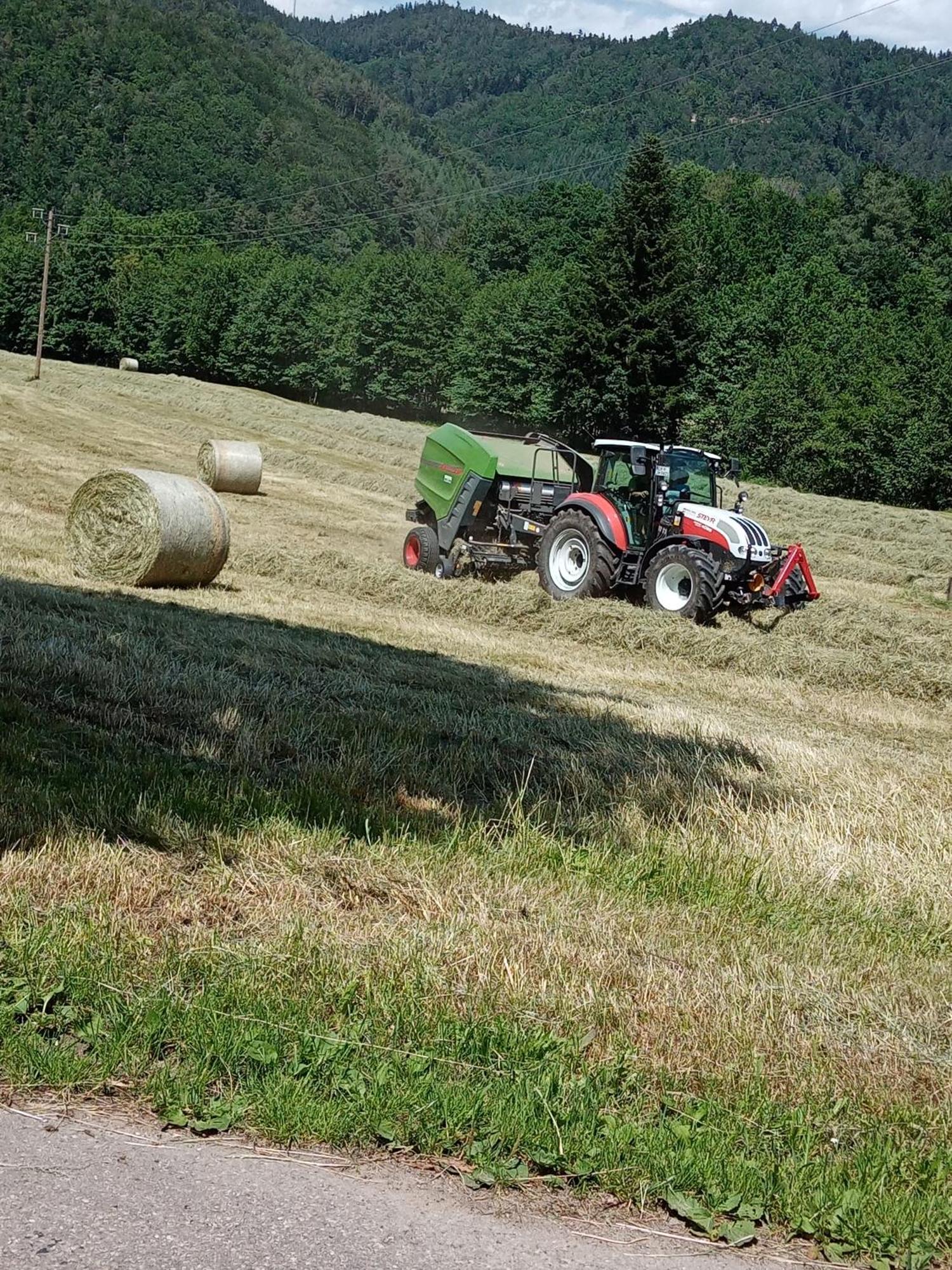 Urlaub Auf Dem Haenslehof Lägenhet Elzach Exteriör bild