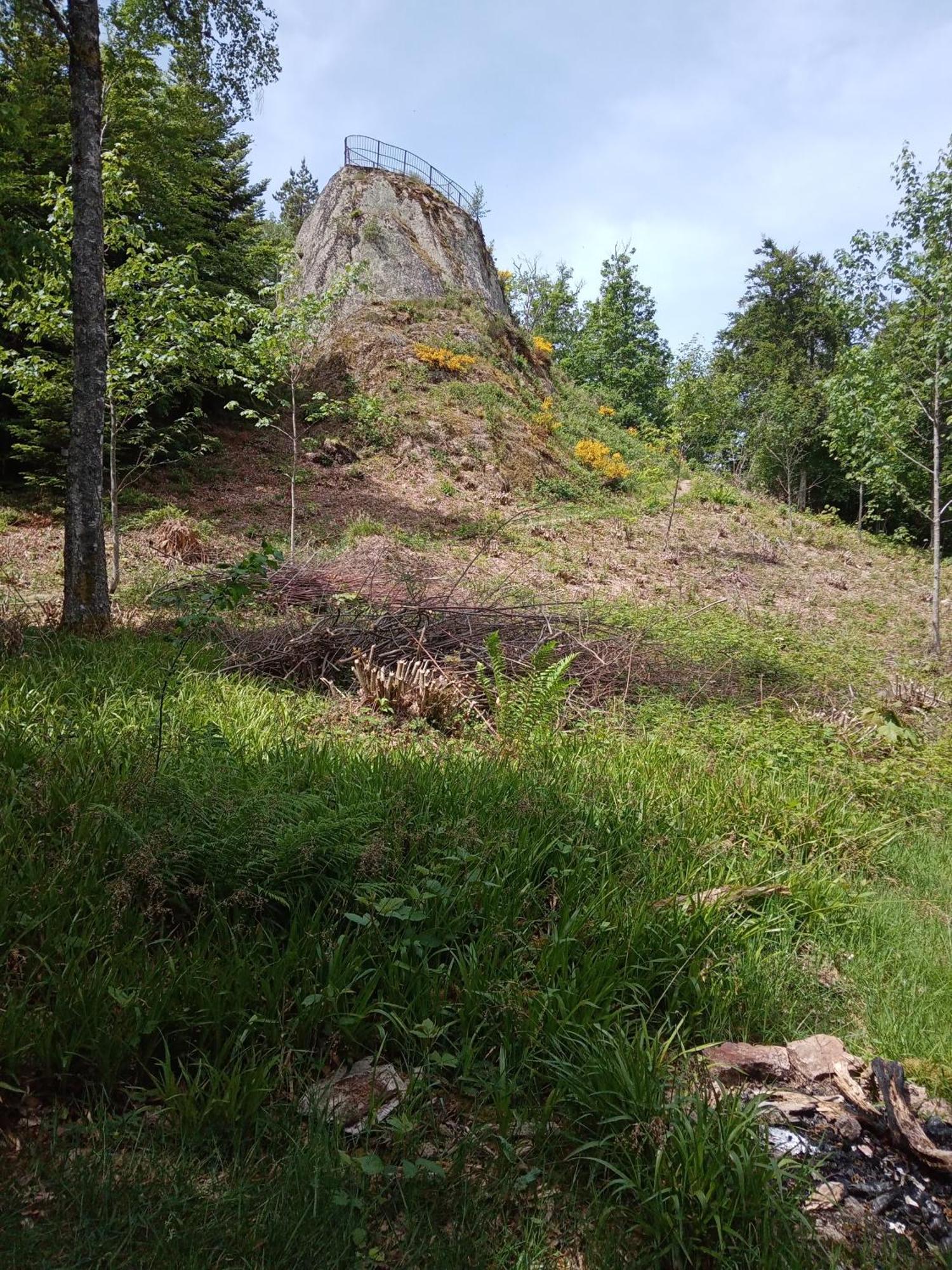 Urlaub Auf Dem Haenslehof Lägenhet Elzach Exteriör bild