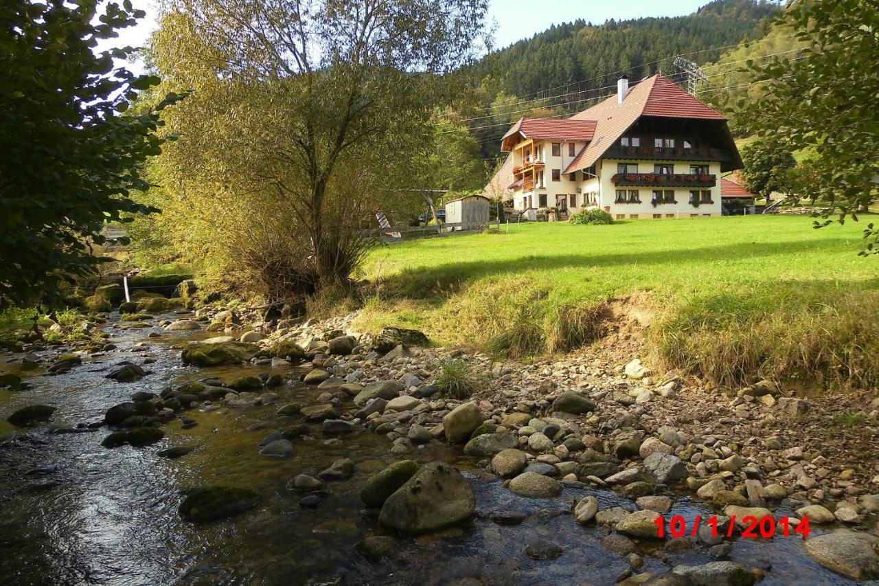 Urlaub Auf Dem Haenslehof Lägenhet Elzach Exteriör bild
