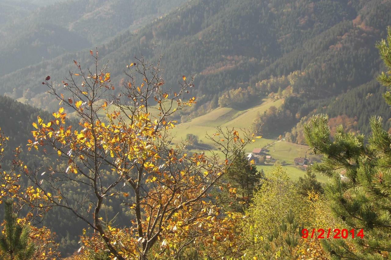 Urlaub Auf Dem Haenslehof Lägenhet Elzach Exteriör bild