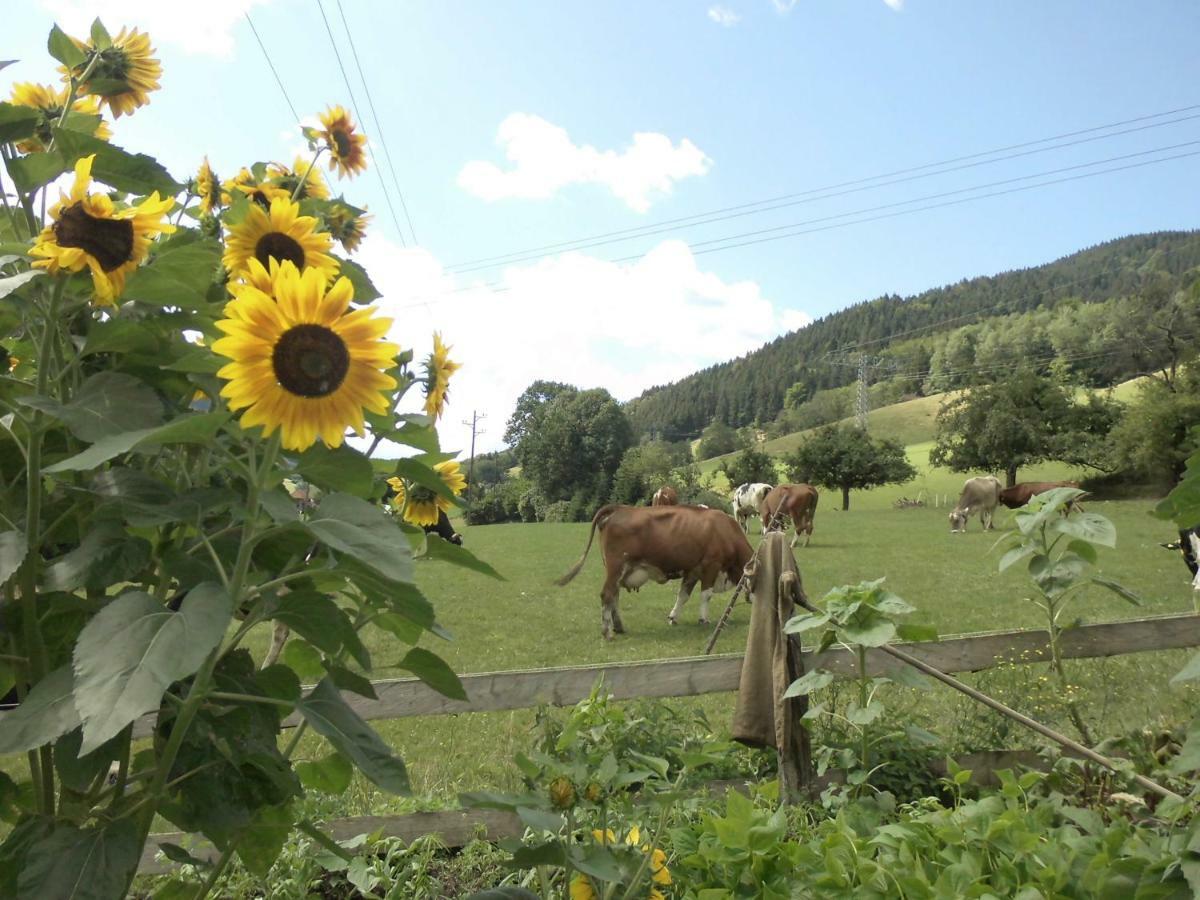 Urlaub Auf Dem Haenslehof Lägenhet Elzach Exteriör bild