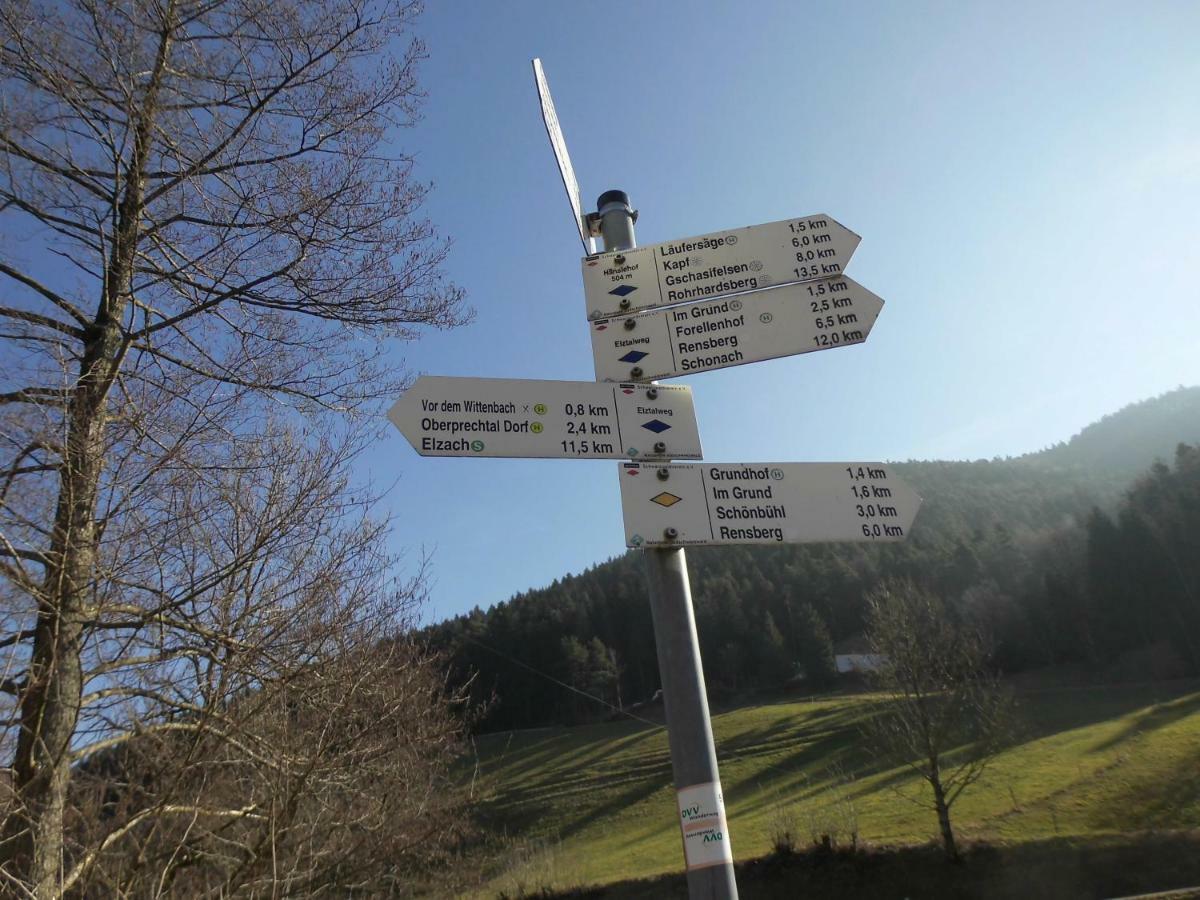 Urlaub Auf Dem Haenslehof Lägenhet Elzach Exteriör bild